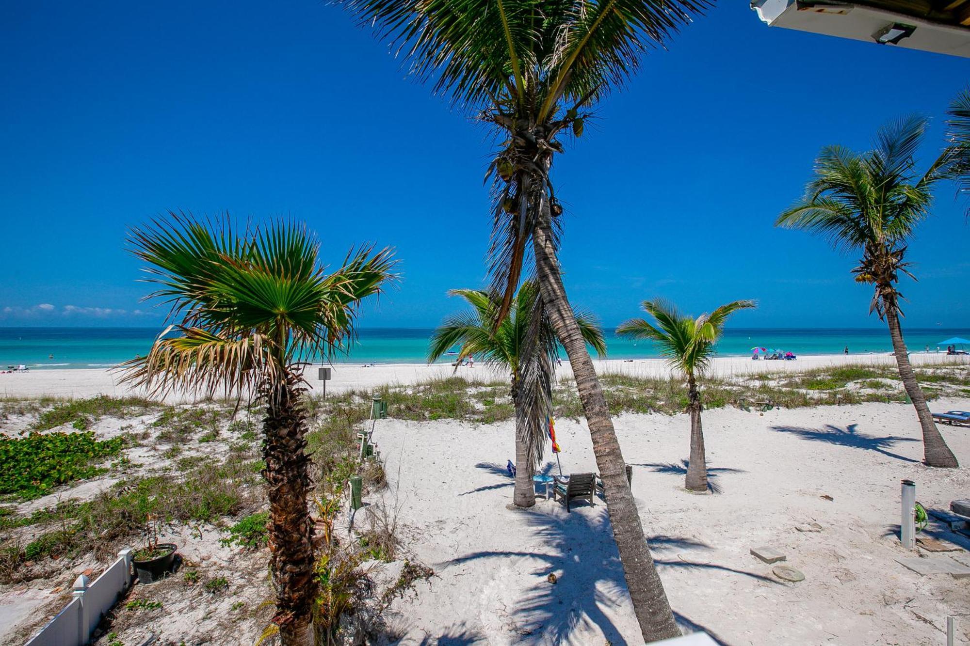 Beach Dreams Resort برادنتون بيتش المظهر الخارجي الصورة