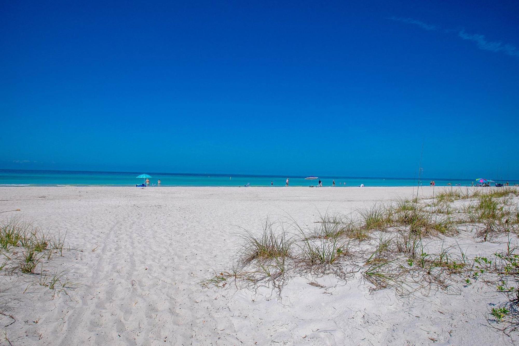 Beach Dreams Resort برادنتون بيتش المظهر الخارجي الصورة